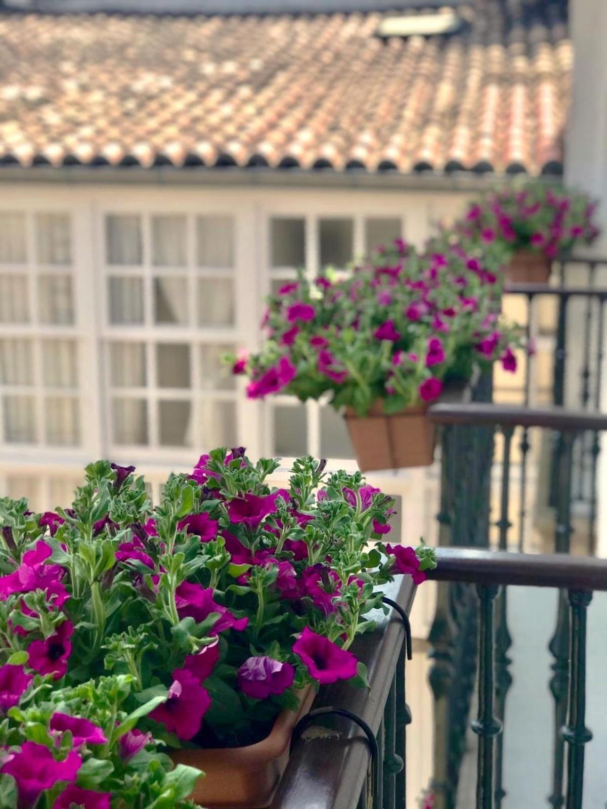 Casa Celsa-barbantes Pensjonat 2*