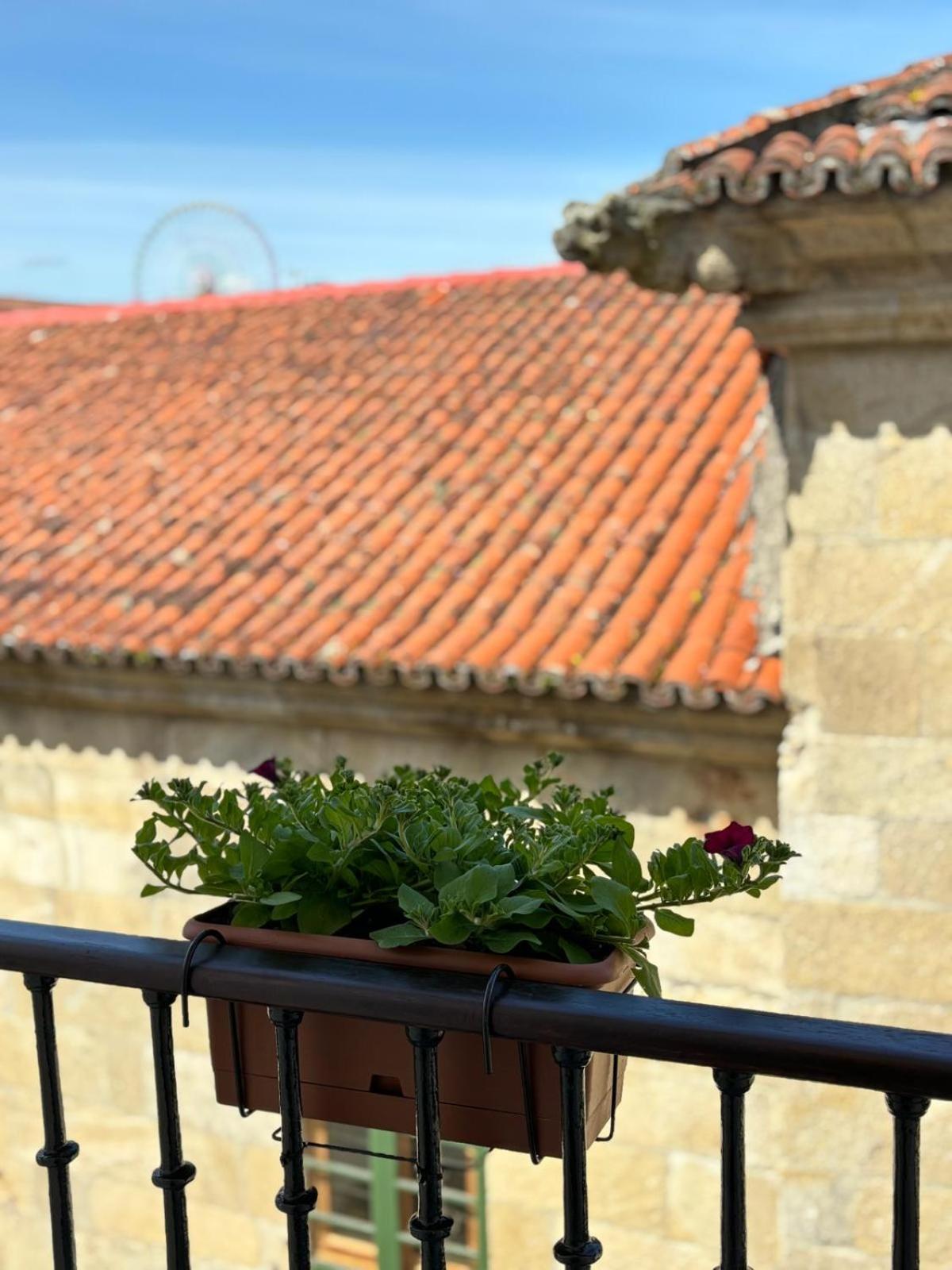 Casa Celsa-barbantes Saint-Jacques-de-Compostelle